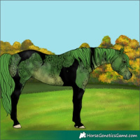 Horse Color:Void Watercolor Smoky Black Ice Tobiano Rabicano 