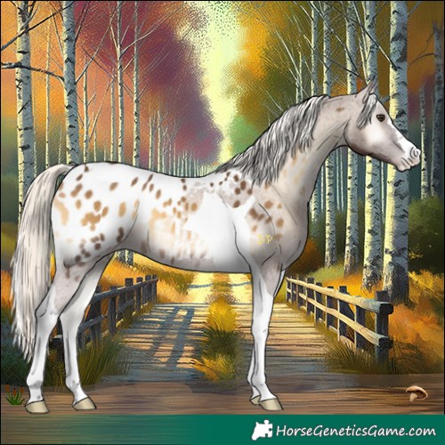 Horse Color:Chocolate Palomino Onyx Tobiano Blanket 