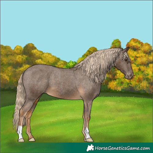 Horse Color:Chocolate Palomino Varnish 
