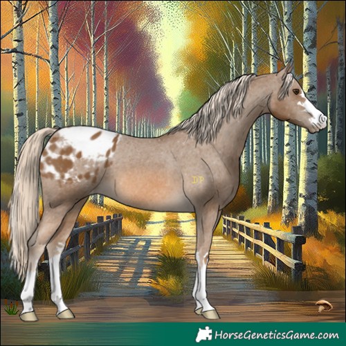 Horse Color:Chocolate Palomino Blanket 