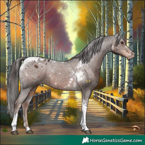 Horse Color:Liver Chestnut Tobiano Varnish 