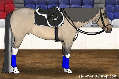 Horse Color:Buckskin Roan Dun Tobiano 