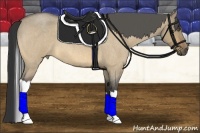 Horse Color:Buckskin Roan Dun Tobiano