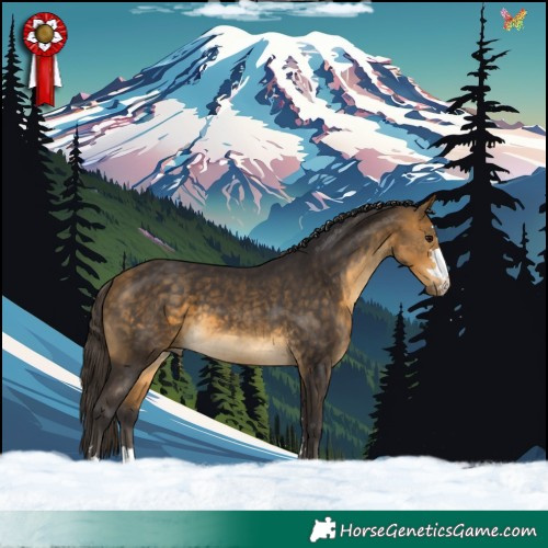 Horse Color:Buckskin 