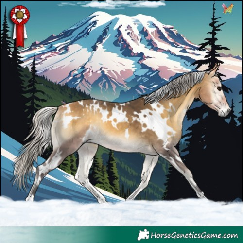 Horse Color:White Spotted Silver Buckskin Onyx 
