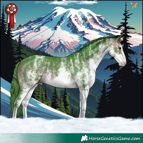 Horse Color:Watercolor White Spotted Bay 