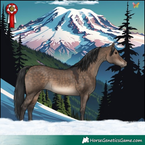 Horse Color:Brown Dun 