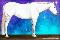 Horse Color:White Spotted Smoky Black Pearl Appaloosa 
