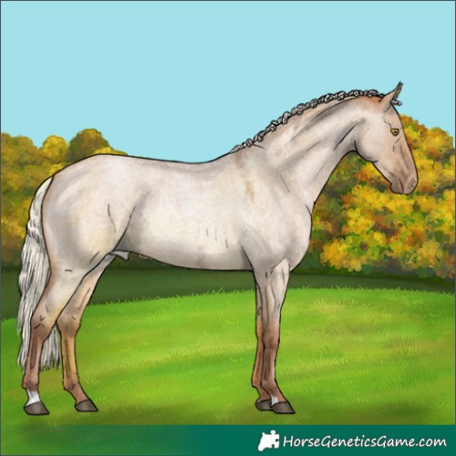 Horse Color:Silver Brown Ice Roan Pearl Dun 