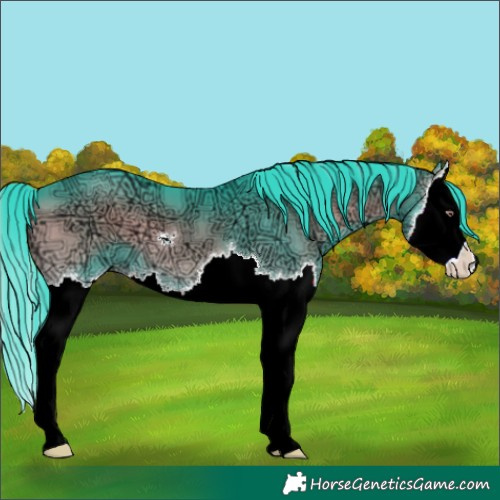 Horse Color:Watercolor Brown Chinchilla Ice Onyx Splash 