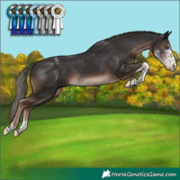 Horse Color:Liver Chestnut Mushroom Sabino Tobiano Appaloosa
