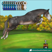 Horse Color:Liver Chestnut Mushroom Sabino Tobiano Appaloosa 