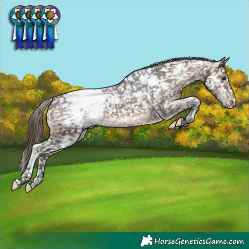 Horse Color:White Spotted Brown Appaloosa 