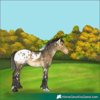 Horse Color:White Spotted Buckskin Dun Mushroom Snowflake Varnish