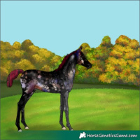 Horse Color:Void Painted Brown Onyx Splash Tobiano 