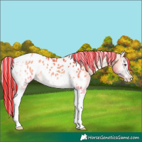 Horse Color:Painted Brown Chinchilla Onyx Tobiano Near Leopard 