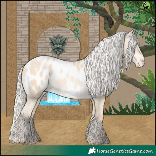 Horse Color:Silver Buckskin Pearl Dun Appaloosa 