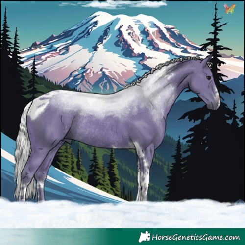 Horse Color:Watercolor White Spotted Silver Black Tobiano Rabicano 