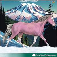 Horse Color:Watercolor Silver Brown Splash