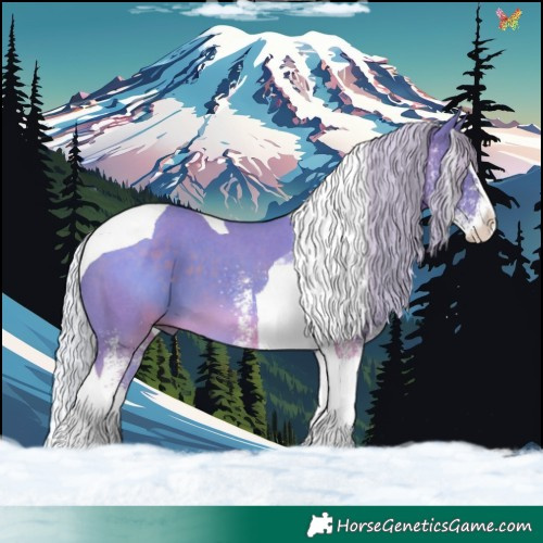 Horse Color:Watercolor White Spotted Silver Black Splash Tobiano 