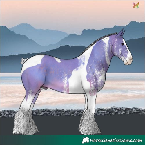 Horse Color:Watercolor White Spotted Silver Black Splash Tobiano 