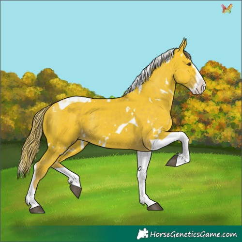 Horse Color:Watercolor White Spotted Liver Chestnut Splash Tobiano 