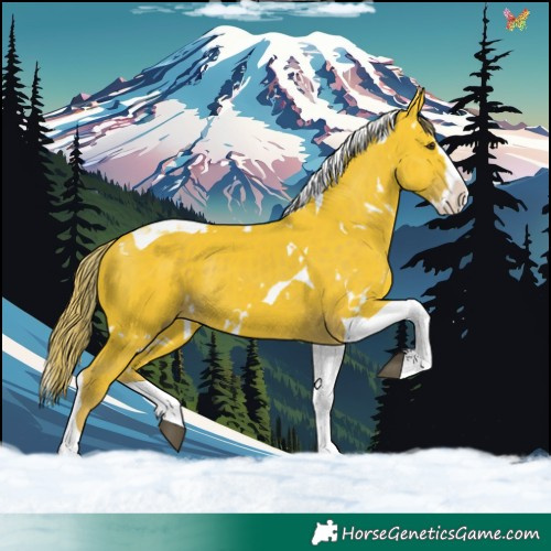 Horse Color:Watercolor White Spotted Liver Chestnut Splash Tobiano 
