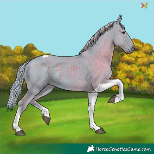 Horse Color:Watercolor Silver Black Tobiano