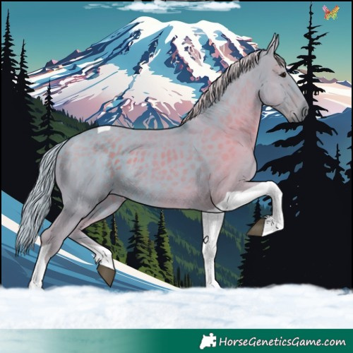 Horse Color:Watercolor Silver Black Tobiano 