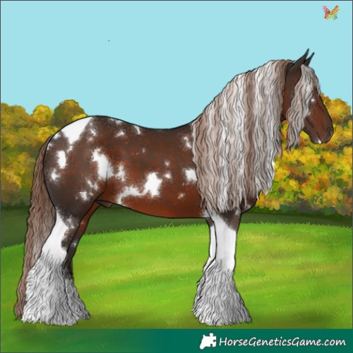 Horse Color:White Spotted Liver Chestnut Tobiano 