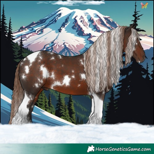 Horse Color:White Spotted Liver Chestnut Tobiano 