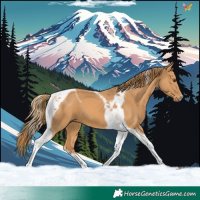 Horse Color:Chestnut Tobiano