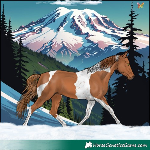 Horse Color:Chestnut Tobiano 