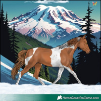 Horse Color:Chestnut Tobiano