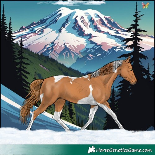 Horse Color:Chestnut Tobiano 