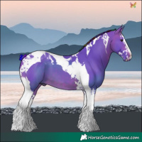 Horse Color:Painted Watercolor Bay Splash Tobiano