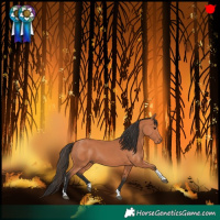 Horse Color:Bay Tobiano 