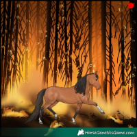 Horse Color:Bay Tobiano 