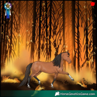 Horse Color:Bay Tobiano