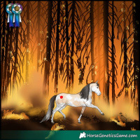 Horse Color:Bay Dun Tobiano and White Spotted Bay Dun Splash Rabicano