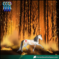 Horse Color:Bay Dun Tobiano  and White Spotted Bay Dun Splash Rabicano 