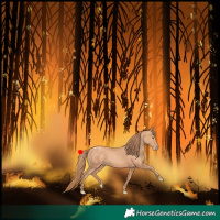 Horse Color:Gold Champagne