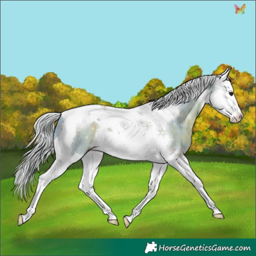 Horse Color:Watercolor Silver Brown Splash Tobiano 