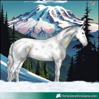 Horse Color:Watercolor Silver Brown Splash Tobiano