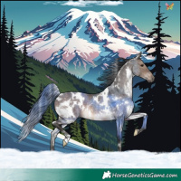 Horse Color:White Spotted Brown Dun Rabicano