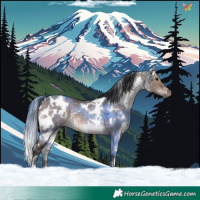 Horse Color:White Spotted Brown Dun Rabicano 