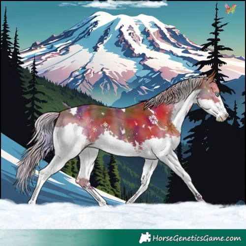 Horse Color:Nacre White Spotted Silver Black Splash Tobiano