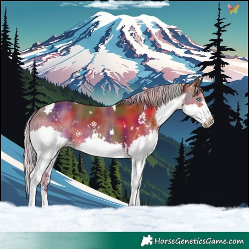 Horse Color:Nacre White Spotted Silver Black Splash Tobiano 