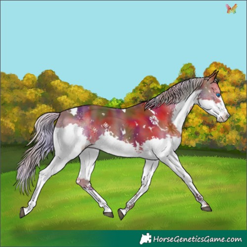 Horse Color:Nacre White Spotted Silver Black Splash Tobiano