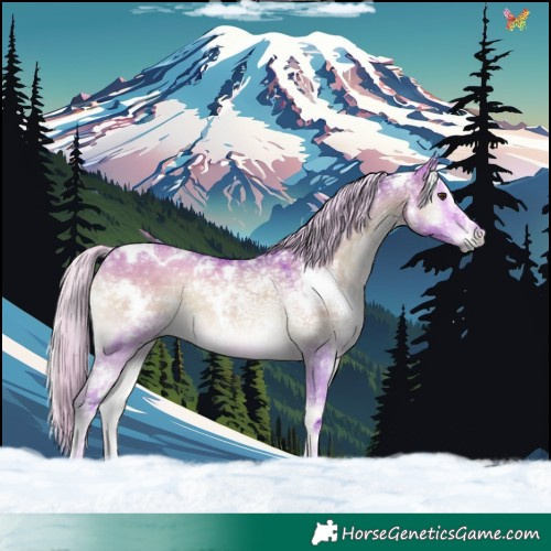 Horse Color:Watercolor White Spotted Chocolate Palomino Ice Onyx 